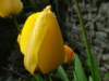 pic018_small.jpg