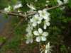pic029_small.jpg
